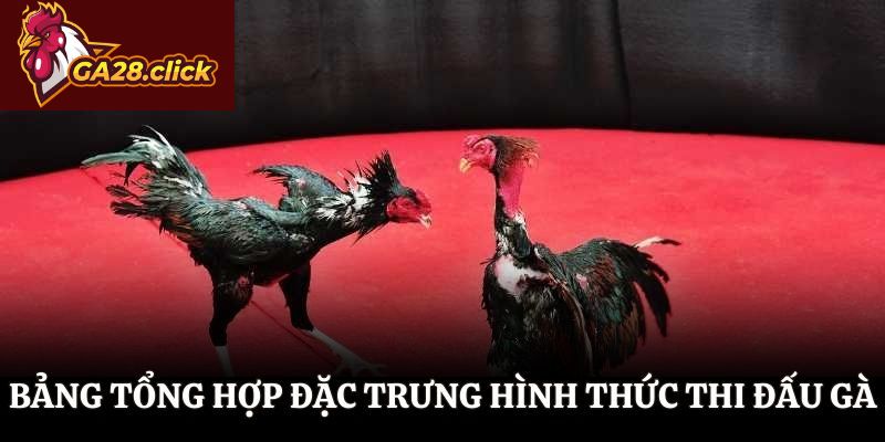 Bảng tổng hợp đặc trưng hình thức thi đấu gà