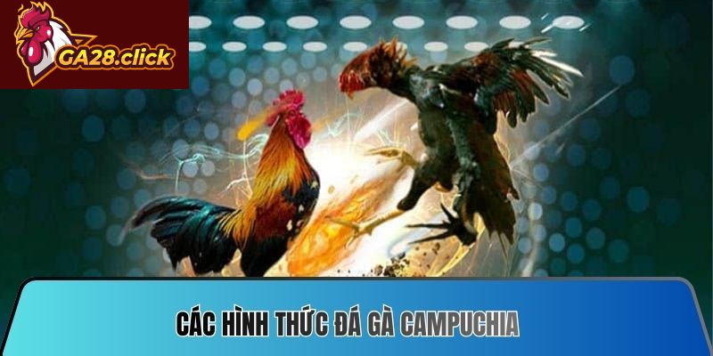Các hình thức đá gà Campuchia