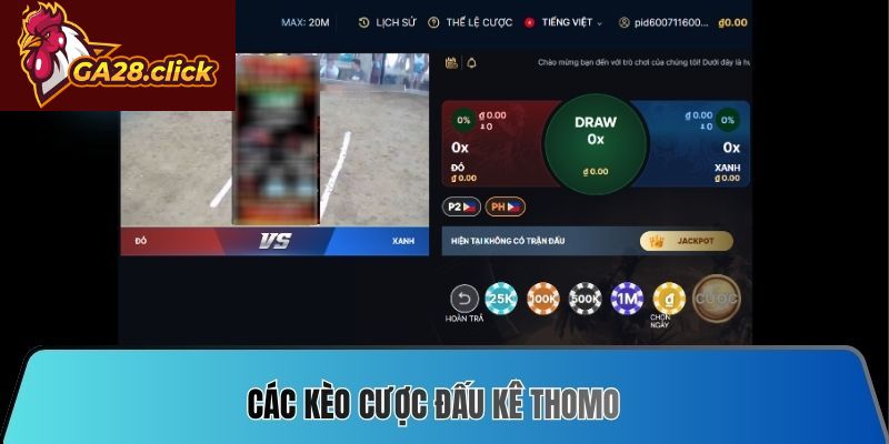 Các kèo cược đấu kê Thomo