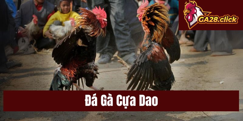 Đá Gà Cựa Dao Kịch Tính Tại GA28 Với Trải Nghiệm Đỉnh Cao
