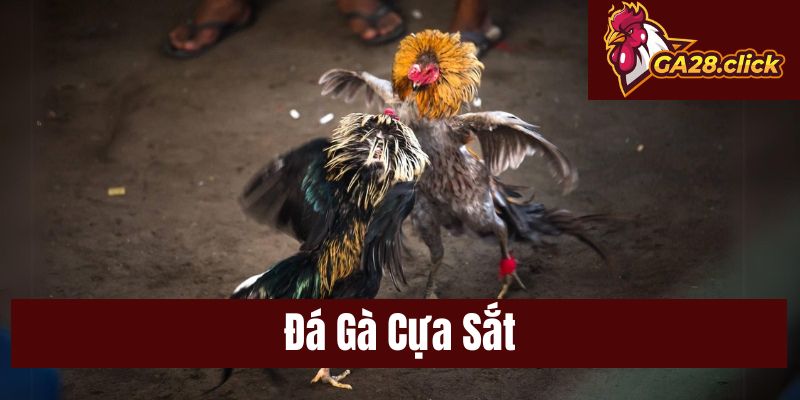 Đá Gà Cựa Sắt Kịch Tính, Tốc Độ Và Chiến Thuật Tại GA28