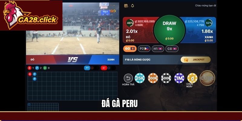 Đá Gà Peru GA28 – Nghiên Cứu Về Cách Chơi Chính Xác
