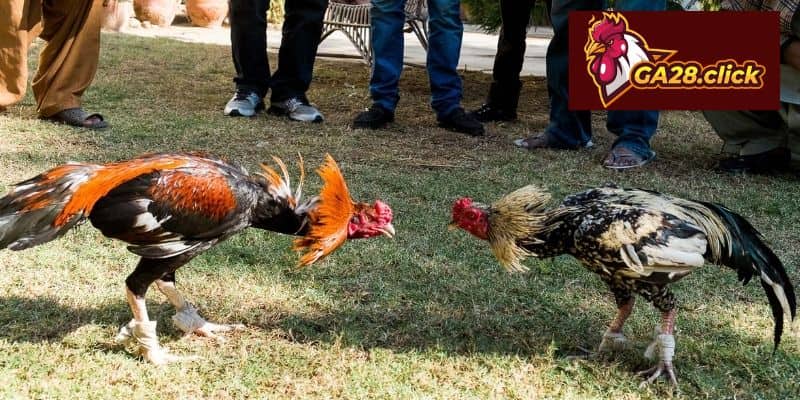 Danh mục dịch vụ trọng tâm của hệ thống