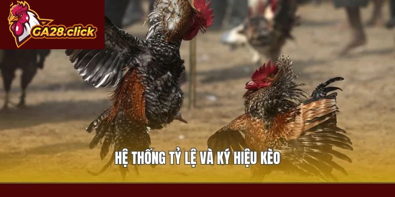 Hệ thống tỷ lệ và ký hiệu kèo