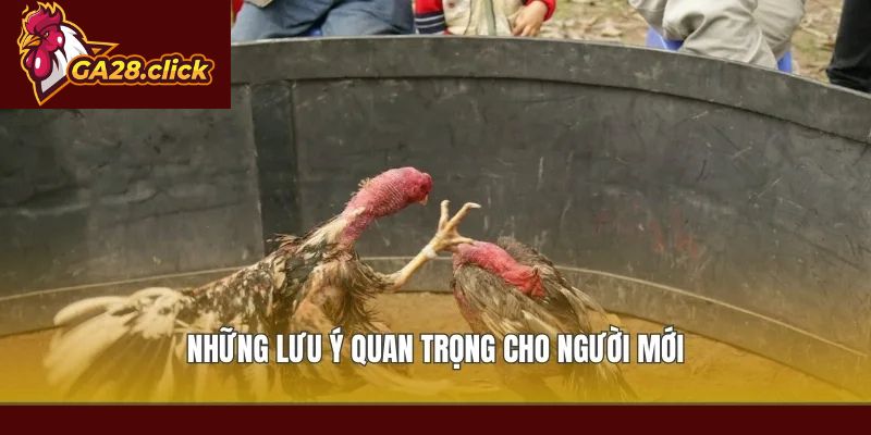 Những lưu ý quan trọng cho người mới