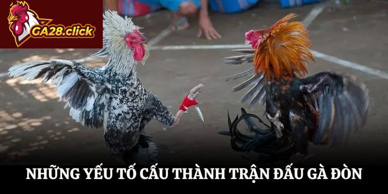 Những yếu tố cấu thành trận đấu gà đòn