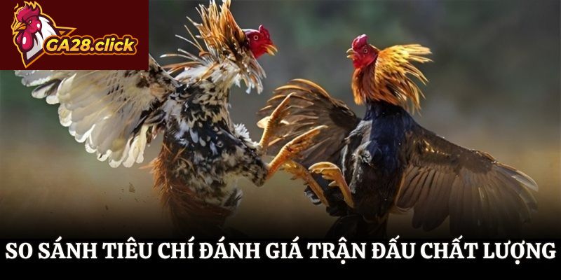 So sánh tiêu chí đánh giá trận đấu chất lượng