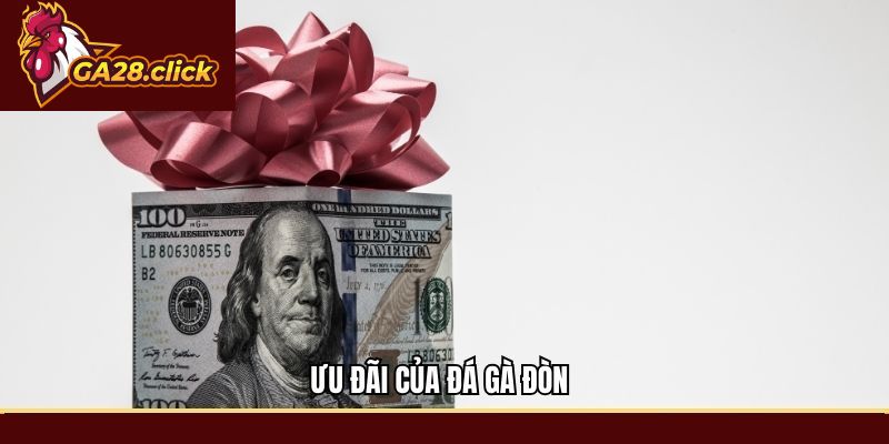 Ưu đãi của Đá gà đòn