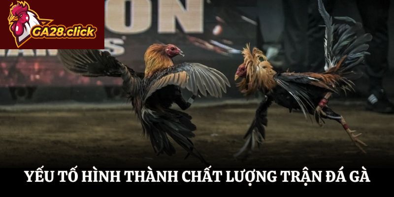 Yếu tố hình thành chất lượng trận đá gà